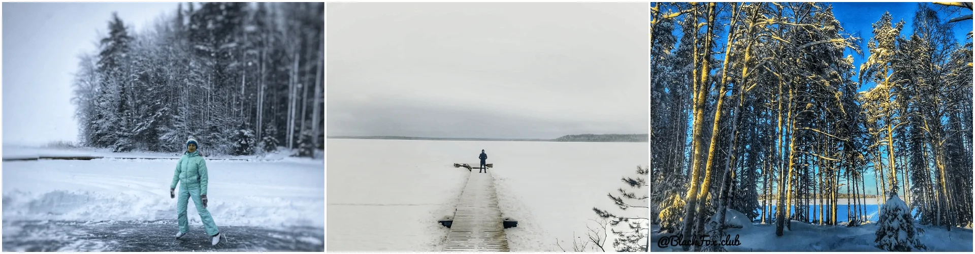 база отдыха в ленинградской области недорого