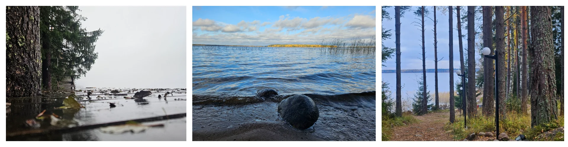 база отдыха в ленинградской области у озера