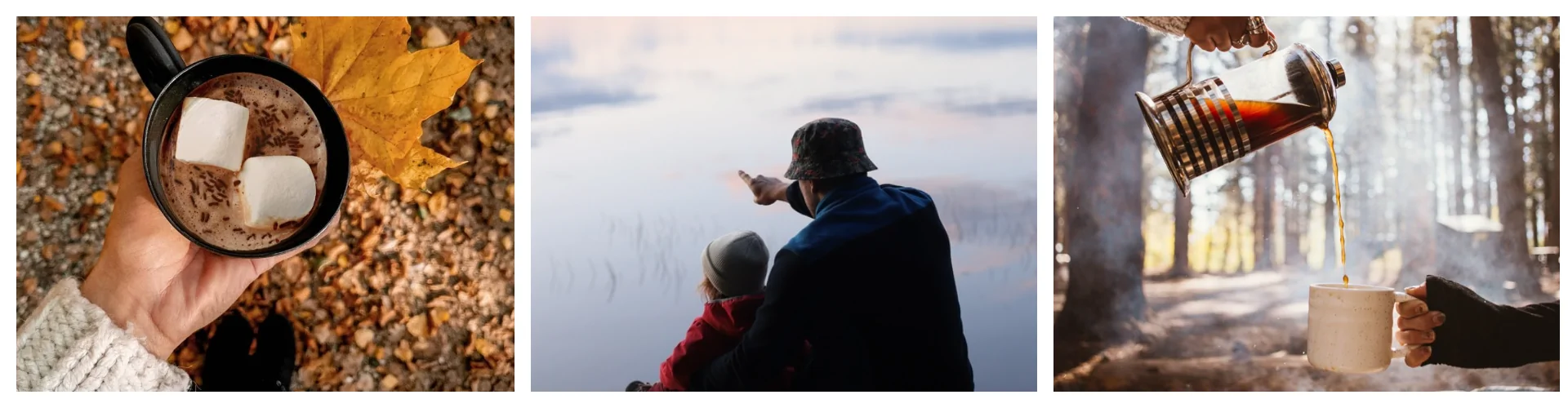 база отдыха в ленинградской области с детьми